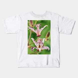 Tricyrtis formosana &#39;Dark Beauty&#39; Toad lily Kids T-Shirt